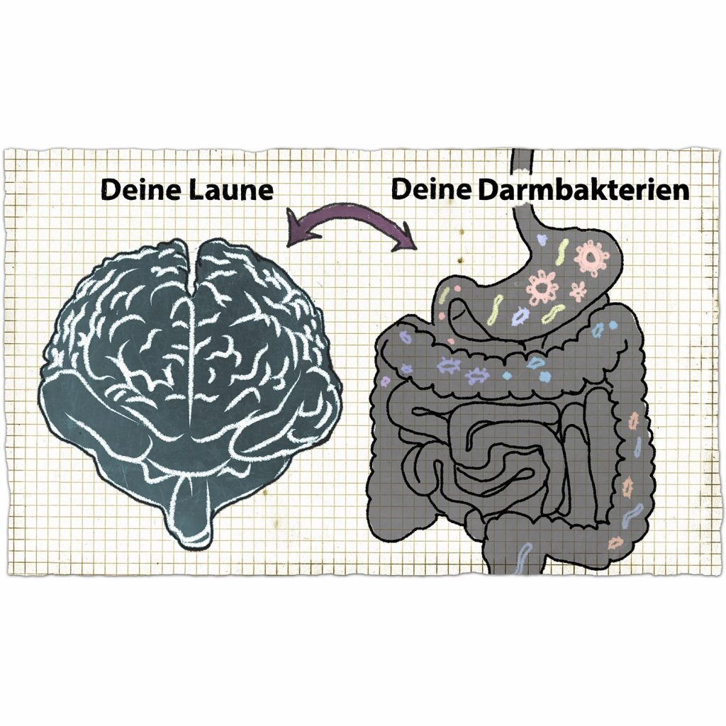 Good Food - Good Mood! Darm und Hirn sind auf vielfältige Weise miteinander verbunden. Dadurch nimmt dein Darm-Mikrobiom direkten und indirekten Einfluss auf deine Stimmung und dein psychisches Wohlbefinden. Außerdem sind bestimmte Darmbakterien in der Lage Neurotransmitter, wie das Glückshormon Serotonin,  für uns zu produzieren.